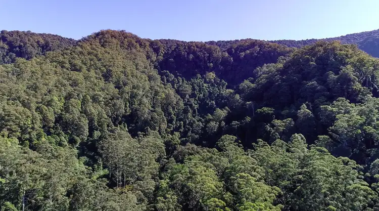 Fifth view of Homely rural property listing, 553 Crofton Road, Nimbin NSW 2480