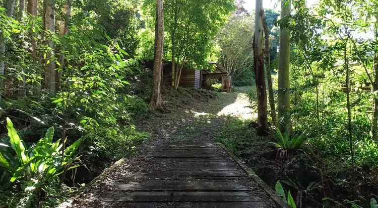 Sixth view of Homely rural property listing, 553 Crofton Road, Nimbin NSW 2480