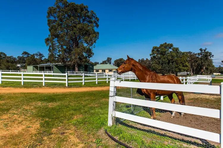 37 Grassy View, Gidgegannup WA 6083