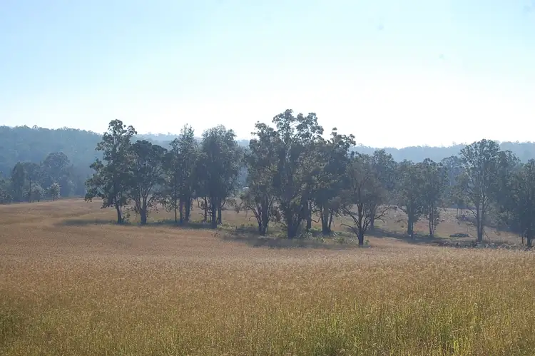 Third view of Homely rural property listing, Lots 62 & 63, 1695 Upper Mongogarie Road, Mongogarie NSW 2470