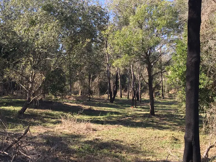 Fifth view of Homely rural property listing, Lots 62 & 63, 1695 Upper Mongogarie Road, Mongogarie NSW 2470