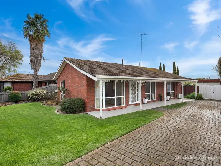 19 Winter Street, Belmont VIC 3216