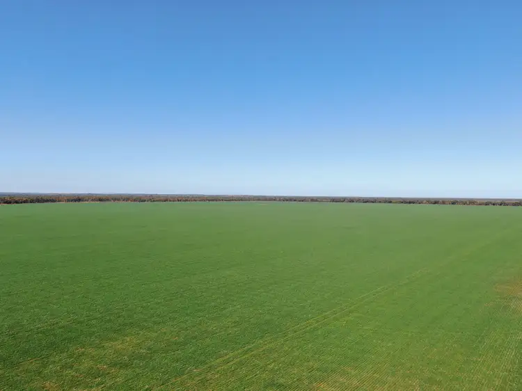 Main view of Homely rural property listing, 407 Hannan Road, Weethalle NSW 2669