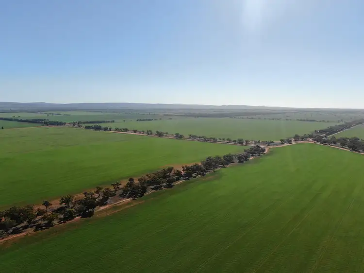 Fourth view of Homely rural property listing, 407 Hannan Road, Weethalle NSW 2669