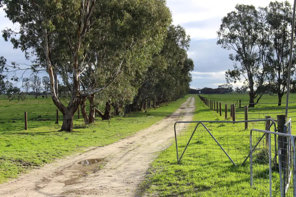 Main view of Homely rural property listing, 1973 Senior Road, Senior SA 5268