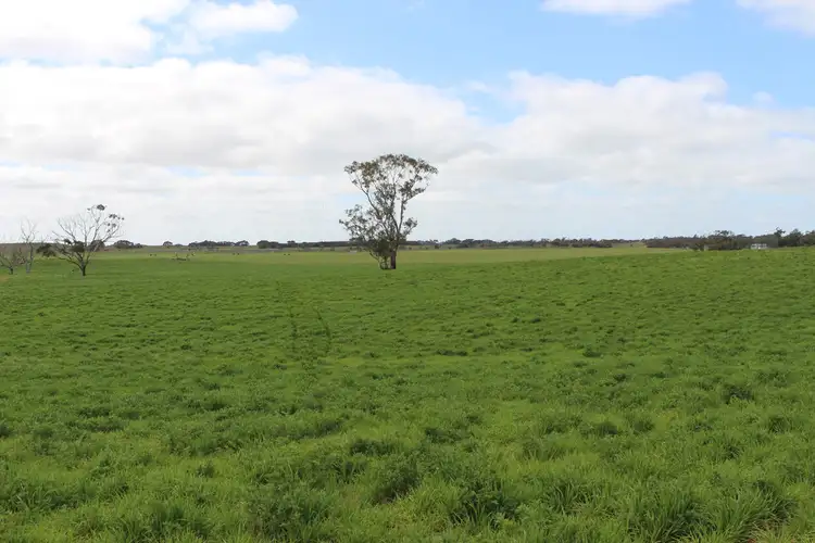 Fifth view of Homely rural property listing, 1973 Senior Road, Senior SA 5268