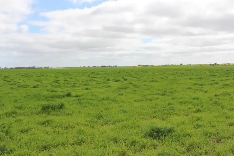 Sixth view of Homely rural property listing, 1973 Senior Road, Senior SA 5268