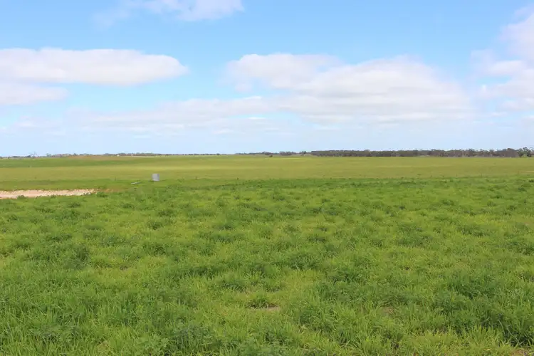 Seventh view of Homely rural property listing, 1973 Senior Road, Senior SA 5268