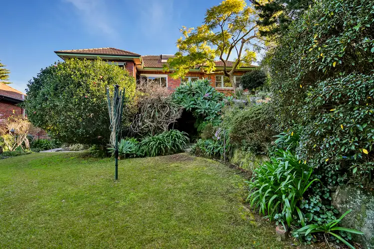 49 Archbold Road, Roseville NSW 2069