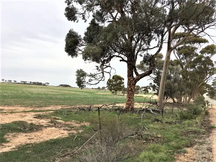 Fourth view of Homely rural property listing, Lot 100 Chandler-Merredin Road, Merredin WA 6415
