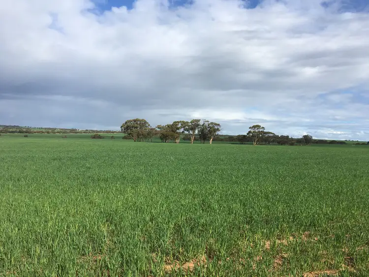 Fifth view of Homely rural property listing, Lot 100 Chandler-Merredin Road, Merredin WA 6415