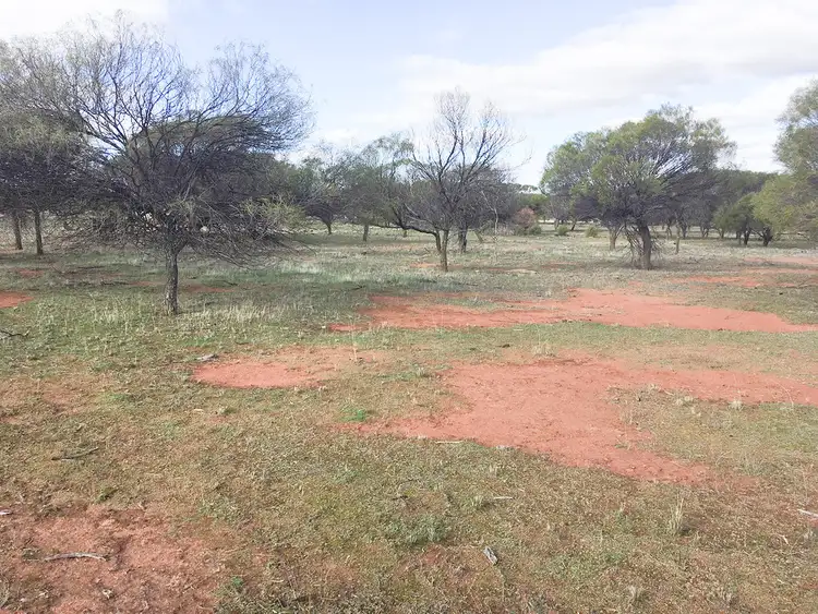 Sixth view of Homely rural property listing, Lot 100 Chandler-Merredin Road, Merredin WA 6415