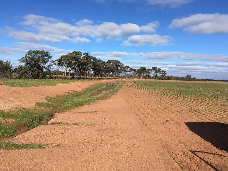 Seventh view of Homely rural property listing, Lot 100 Chandler-Merredin Road, Merredin WA 6415