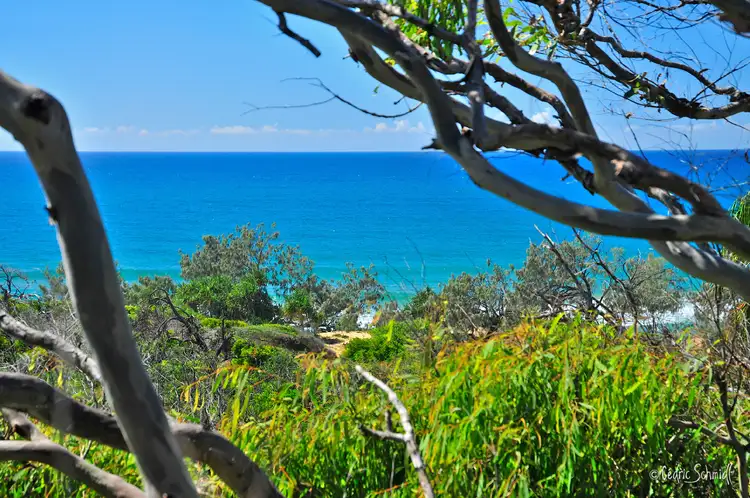 Third view of Homely land listing, 95 Bloodwood Avenue, Agnes Water QLD 4677