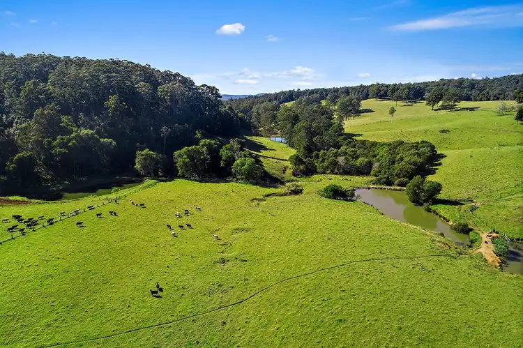 Second view of Homely rural property listing, 370 Schultz Rd, Dorrigo NSW 2453