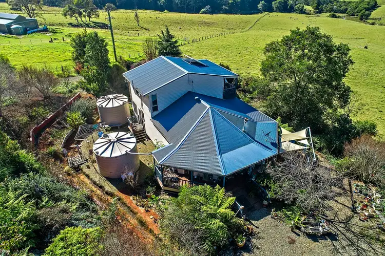 Third view of Homely rural property listing, 370 Schultz Rd, Dorrigo NSW 2453