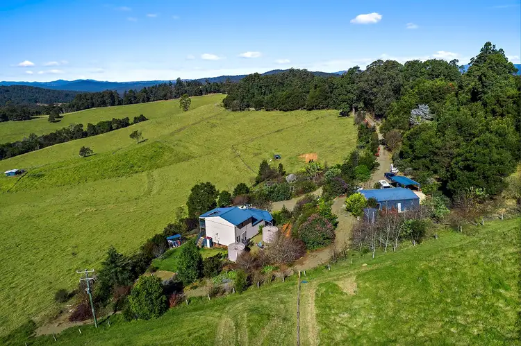 Fifth view of Homely rural property listing, 370 Schultz Rd, Dorrigo NSW 2453