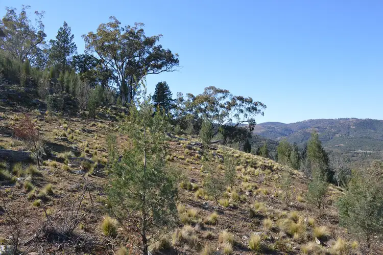 Third view of Homely rural property listing, 1740 Yarrabin Road, Mudgee NSW 2850