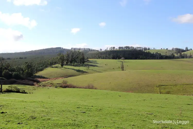 Fifth view of Homely rural property listing, 38 Atkins Lane, Mirboo North VIC 3871