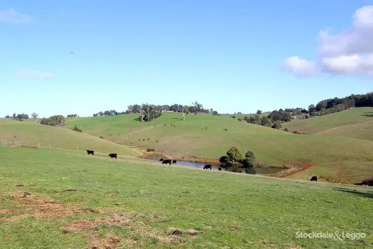 Sixth view of Homely rural property listing, 38 Atkins Lane, Mirboo North VIC 3871