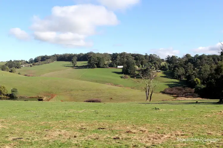 Seventh view of Homely rural property listing, 38 Atkins Lane, Mirboo North VIC 3871