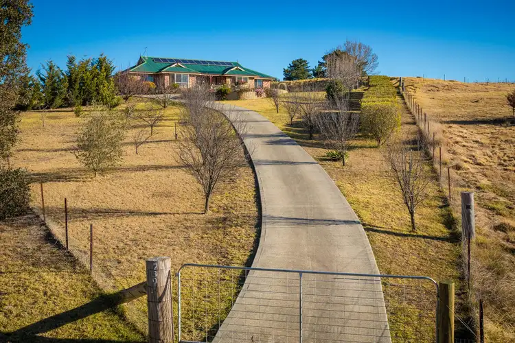 Second view of Homely rural property listing, 739 Candelo Bega Rd,, Kanoona NSW 2550