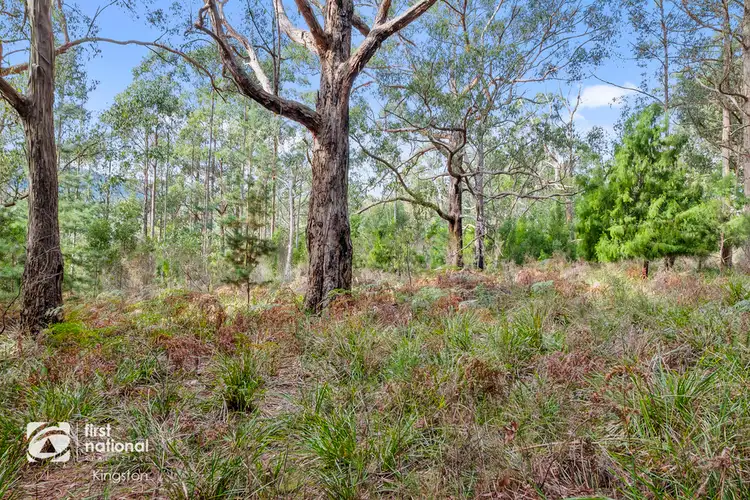 Sixth view of Homely land listing, 20 Cloudy Bay Road, Lunawanna TAS 7150