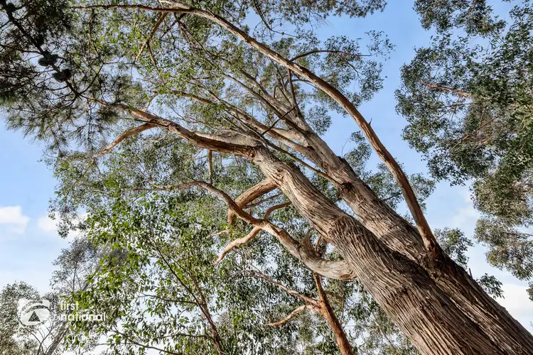 Seventh view of Homely land listing, 20 Cloudy Bay Road, Lunawanna TAS 7150