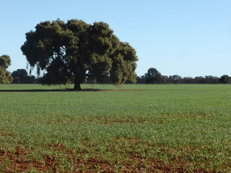 Sixth view of Homely rural property listing, Address available on request
