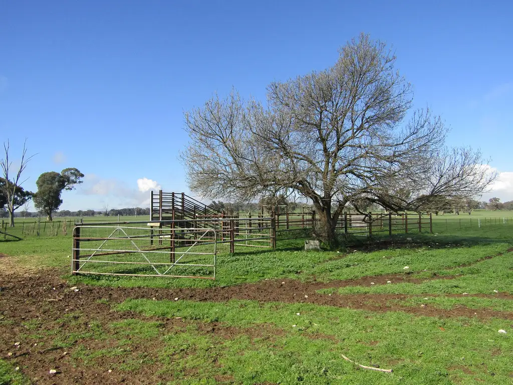 Main view of Homely rural property listing, 00 Chiltern Valley Rd, Cornishtown VIC 3683