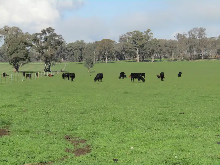 Second view of Homely rural property listing, 00 Chiltern Valley Rd, Cornishtown VIC 3683