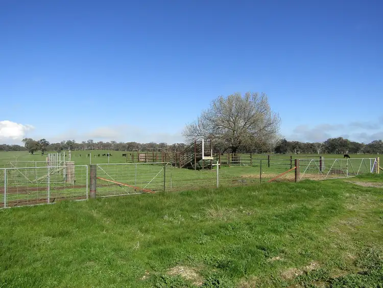 Third view of Homely rural property listing, 00 Chiltern Valley Rd, Cornishtown VIC 3683