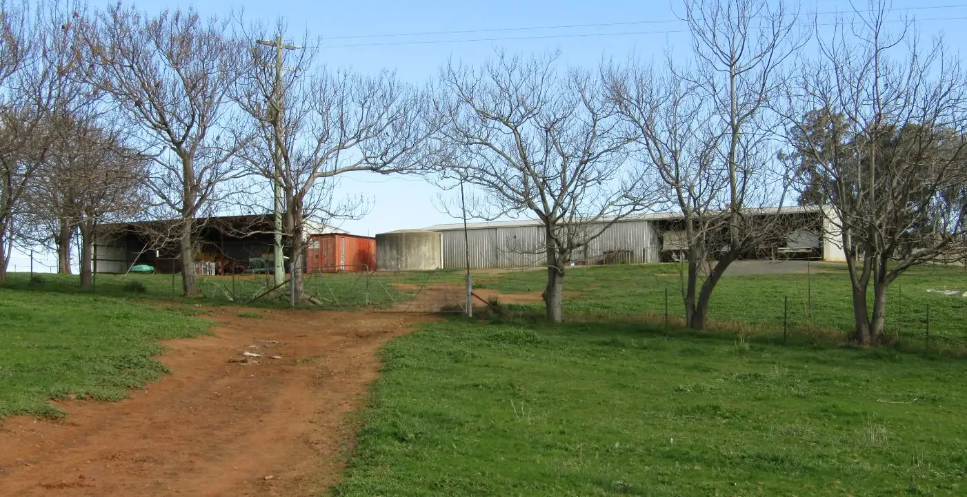 Main view of Homely rural property listing, 318 Mountain Creek Rd, Mullengandra NSW 2644