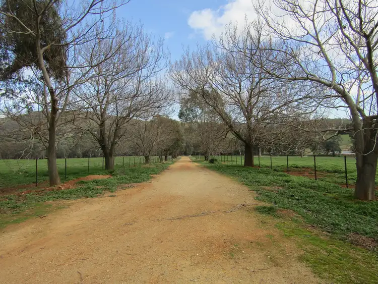 Third view of Homely rural property listing, 318 Mountain Creek Rd, Mullengandra NSW 2644