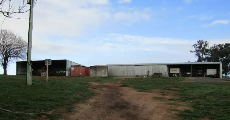 Fourth view of Homely rural property listing, 318 Mountain Creek Rd, Mullengandra NSW 2644