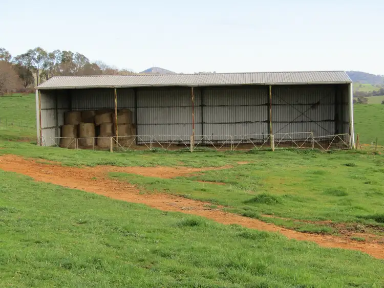 Sixth view of Homely rural property listing, 318 Mountain Creek Rd, Mullengandra NSW 2644