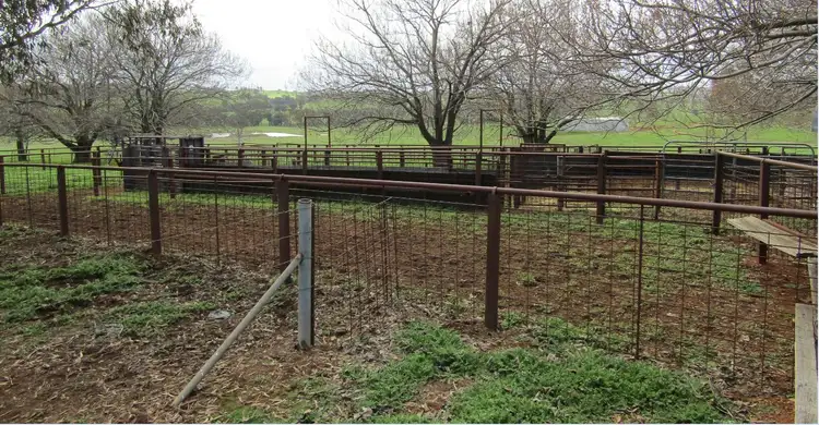 Seventh view of Homely rural property listing, 318 Mountain Creek Rd, Mullengandra NSW 2644