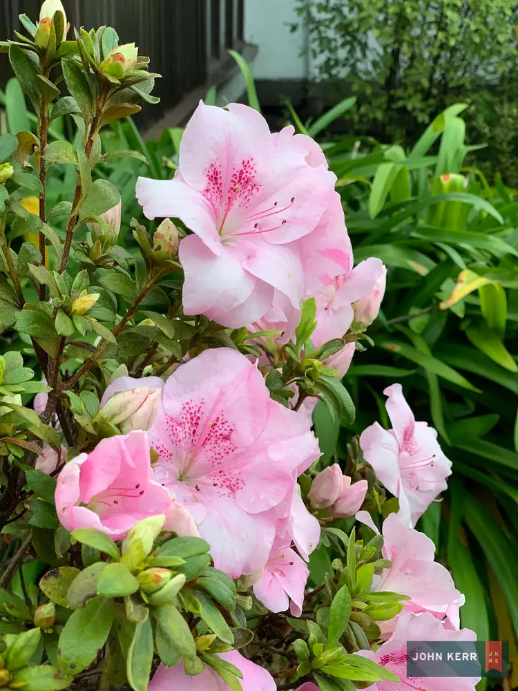 Seventh view of Homely house listing, 10 Worth Crescent, Moe VIC 3825