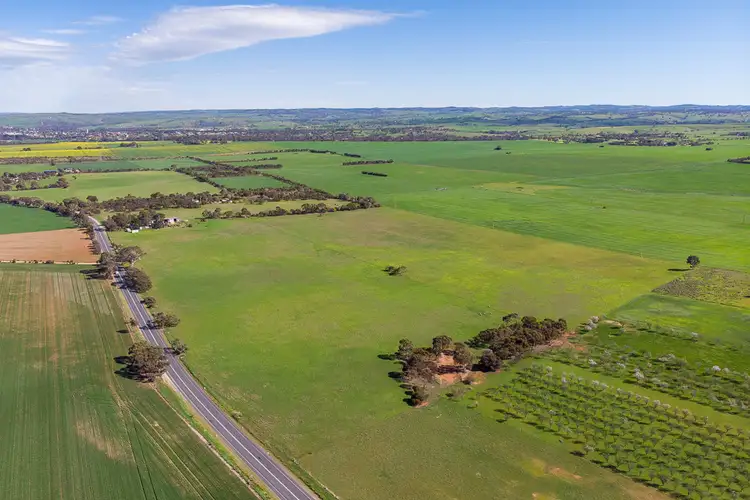 Main view of Homely rural property listing, 1834 Callington Road, Strathalbyn SA 5255