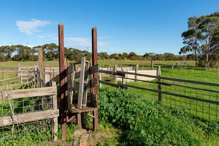 Second view of Homely rural property listing, 1834 Callington Road, Strathalbyn SA 5255
