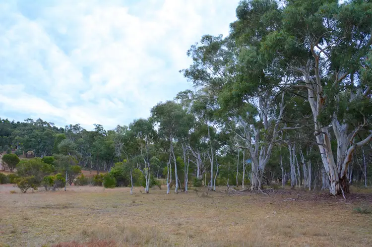 Third view of Homely house listing, 1139 Browns Gap Road, Little Hartley NSW 2790