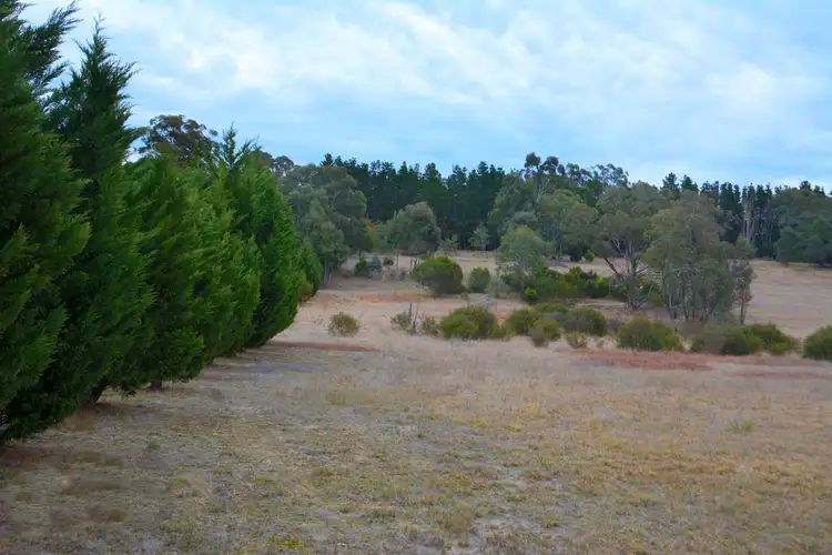 Sixth view of Homely house listing, 1139 Browns Gap Road, Little Hartley NSW 2790