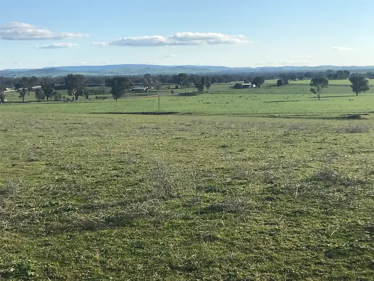 Seventh view of Homely land listing, 63 PINNABAR ROAD, Holbrook NSW 2644