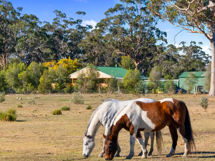 10746 Tasman Highway, Little Swanport TAS 7190
