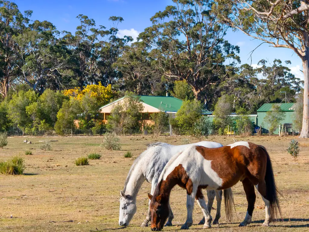 Main view of Homely house listing, 10746 Tasman Highway, Little Swanport TAS 7190
