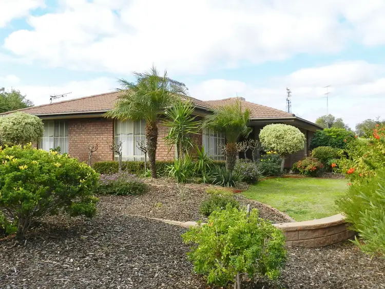 Main view of Homely house listing, 1 Guy Street, Berri SA 5343