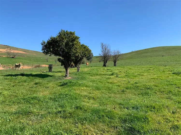 Fourth view of Homely land listing, Lot 1, 10, 319 Charlotte Street, Gundagai NSW 2722