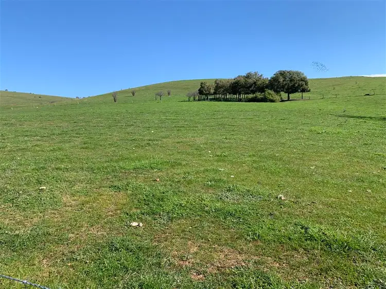 Fifth view of Homely land listing, Lot 1, 10, 319 Charlotte Street, Gundagai NSW 2722