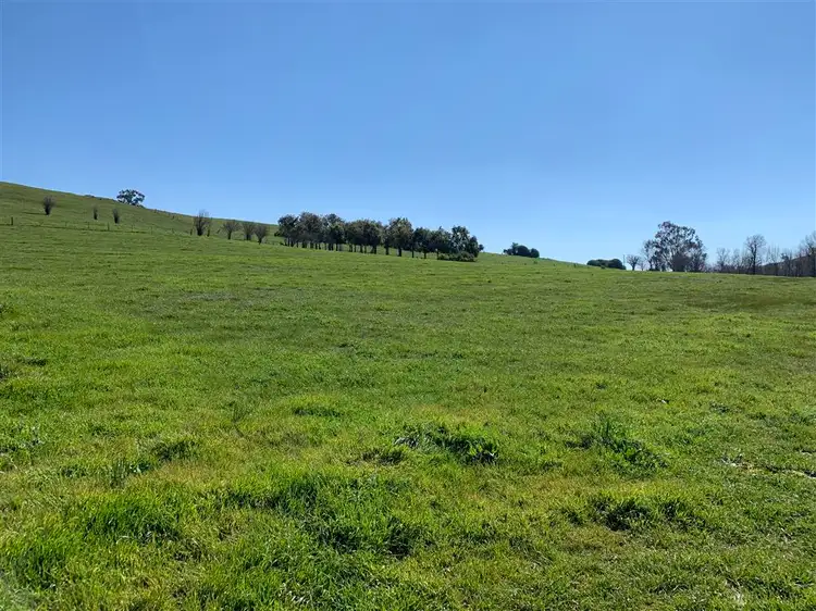 Seventh view of Homely land listing, Lot 1, 10, 319 Charlotte Street, Gundagai NSW 2722