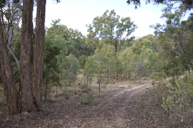 1121 Botobolar Road, Mudgee NSW 2850